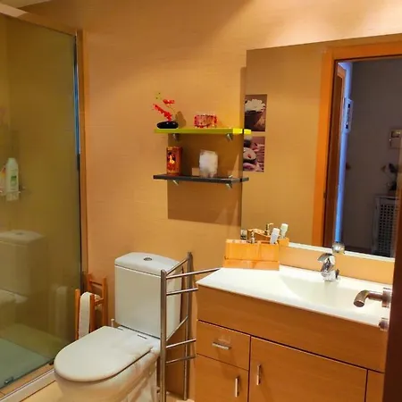 Acogedor Atico Duplex En Tremp