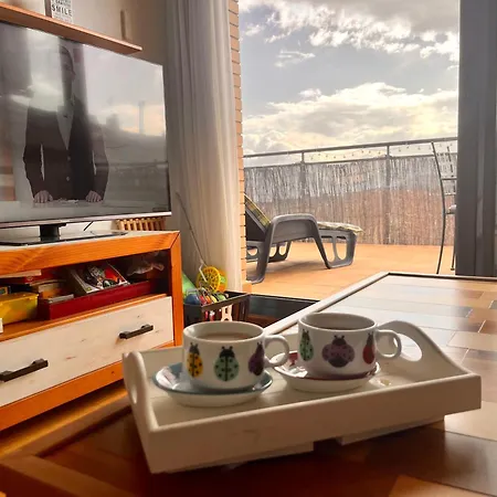 Acogedor Atico Duplex En * Tremp
